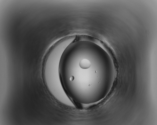 X0000094961312200712061303