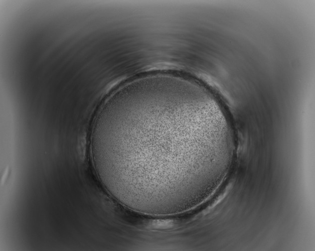 X0000094961313200712061303