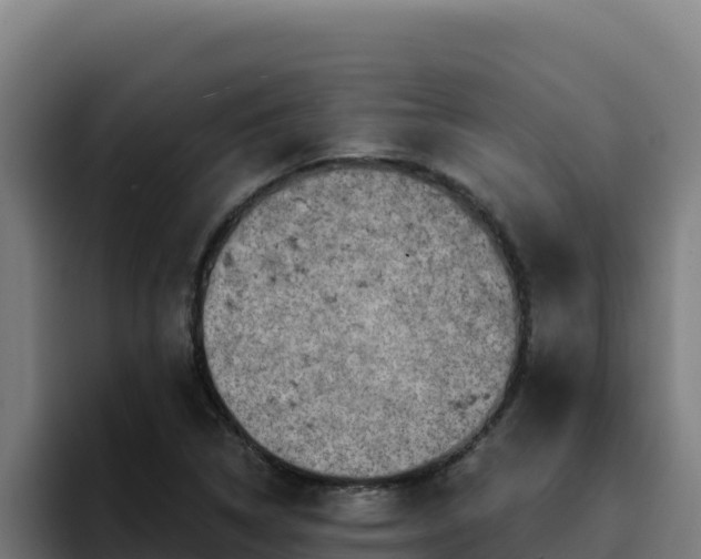 X0000094961314200712061303