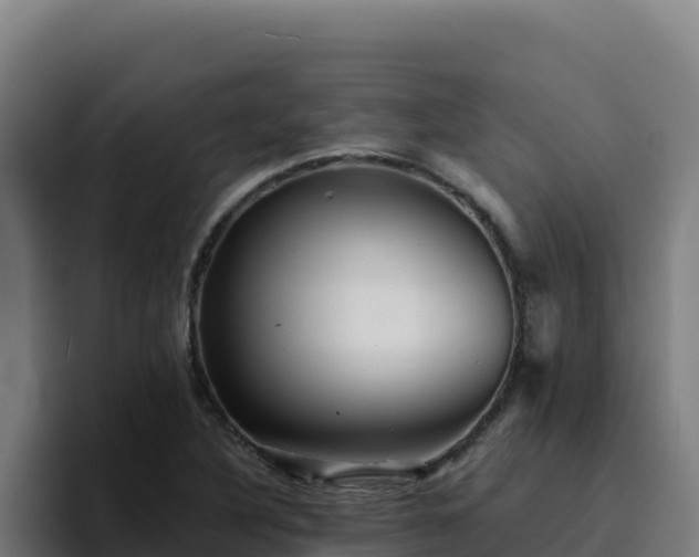 X0000094961316200712061303