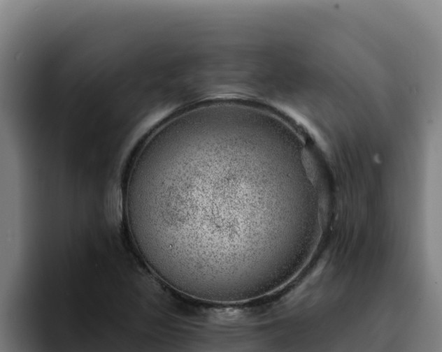 X0000094961317200712061303