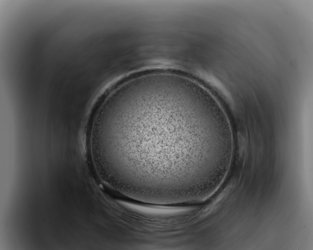 X0000094961318200712061304