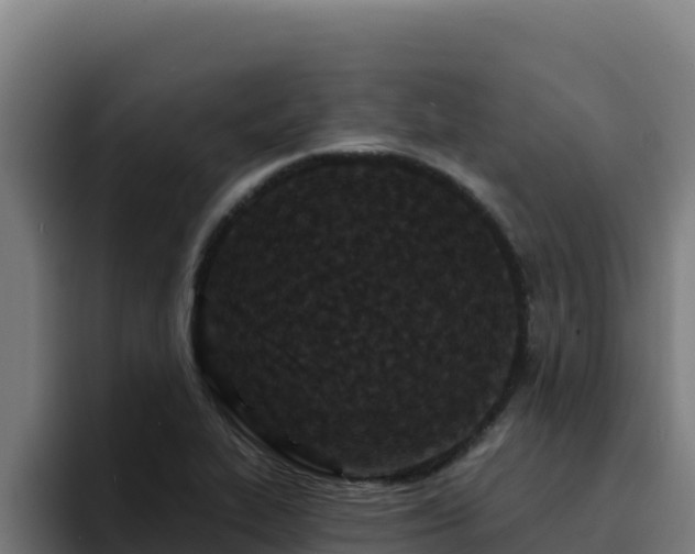 X0000094961319200712061304