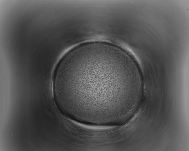 X0000094961320200712061304