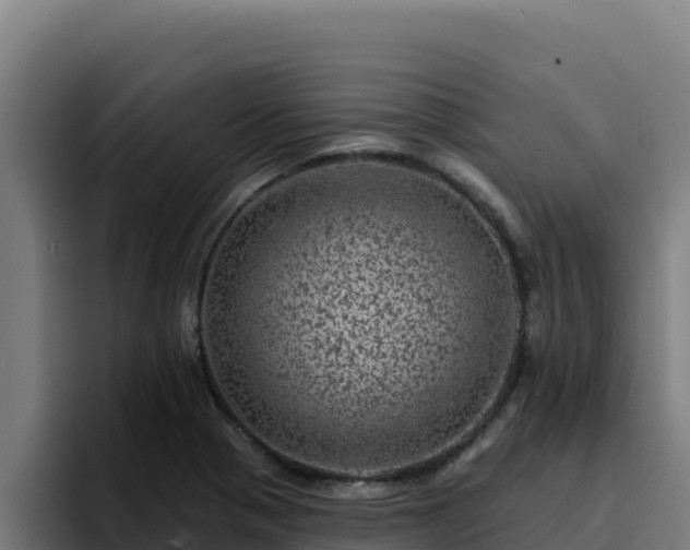 X0000094961321200712061304