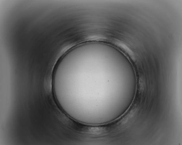 X0000094961322200712061304