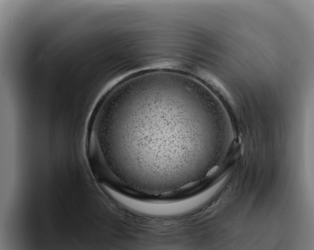 X0000094961324200712061304