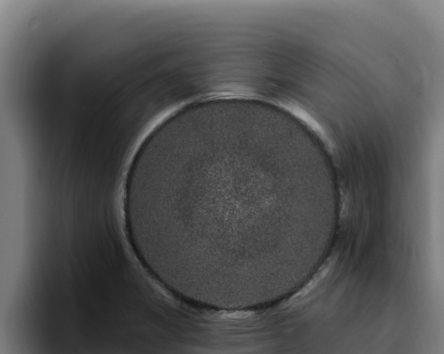 X0000094961325200712061304