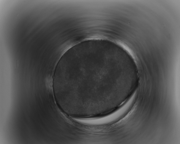 X0000094961329200712061304