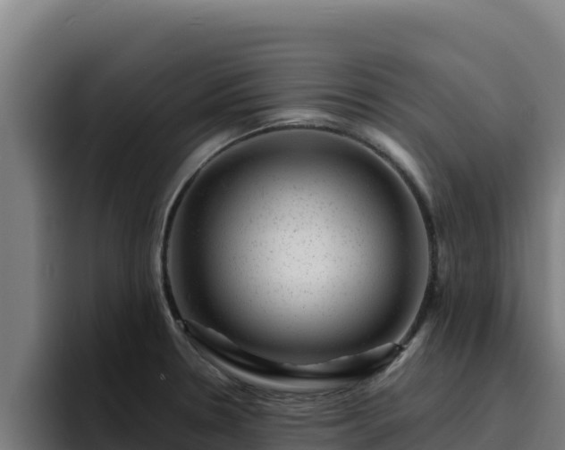 X0000094961330200712061304