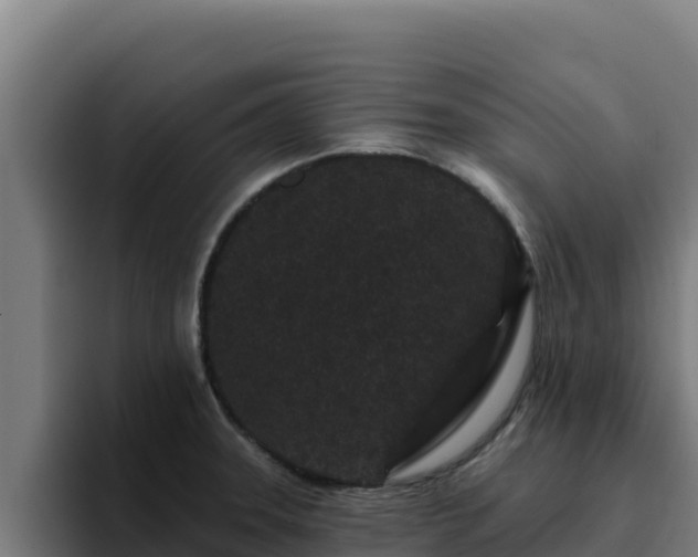 X0000094961331200712061304