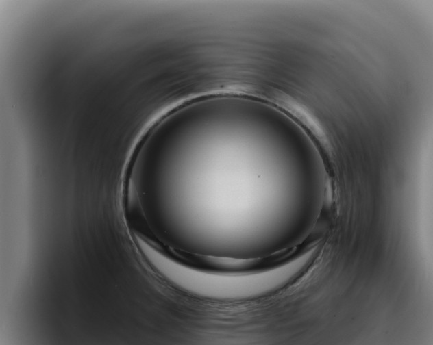 X0000094961332200712061304