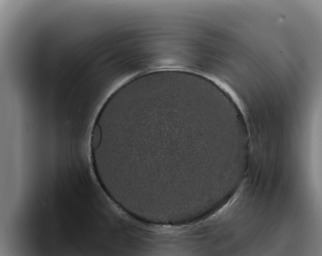 X0000094961333200712061304