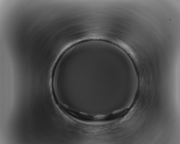 X0000094961334200712061304