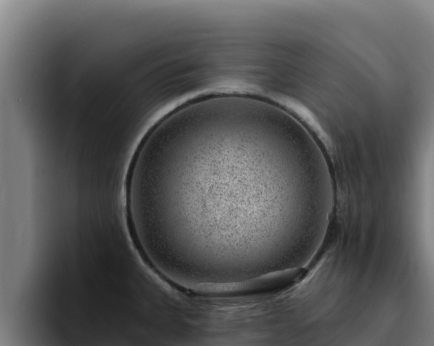 X0000094961335200712061304