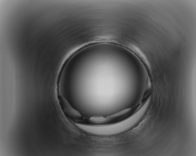 X0000094961336200712061304