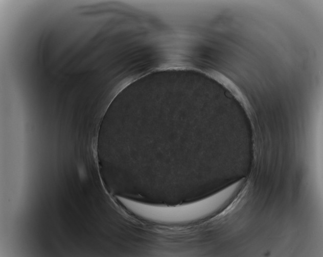 X0000094961337200712061304