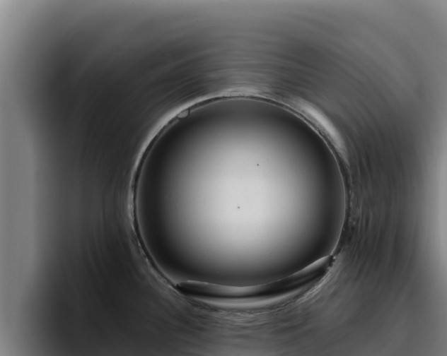 X0000094961340200712061304