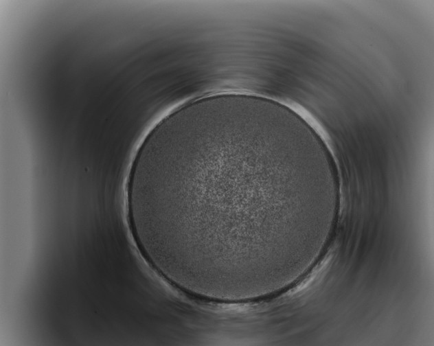 X0000094961341200712061304