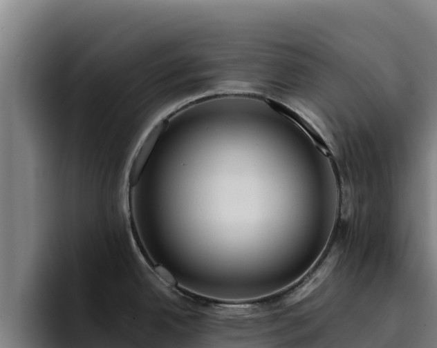 X0000094961342200712061304