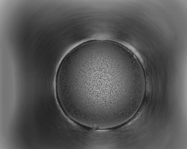 X0000094961343200712061304