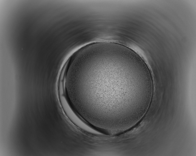 X0000094961344200712061304