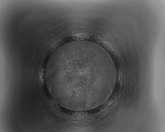 X0000094961346200712061303