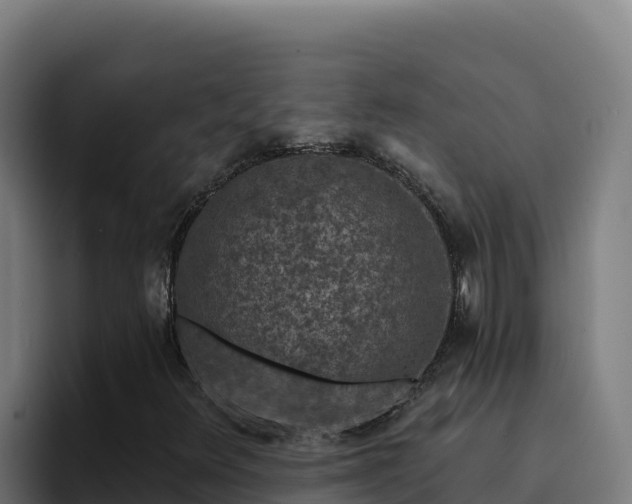 X0000094961348200712061303