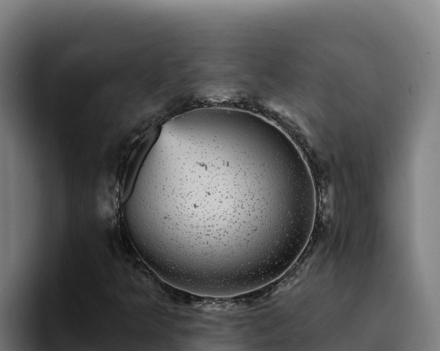 X0000094961349200712061303