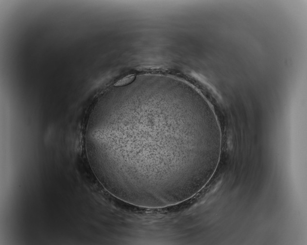 X0000094961350200712061303