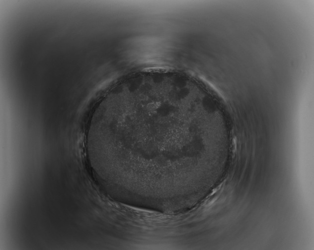 X0000094961351200712061303