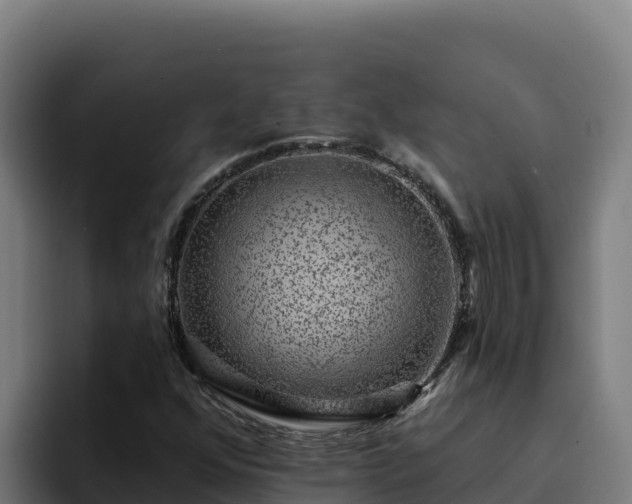 X0000094961352200712061303