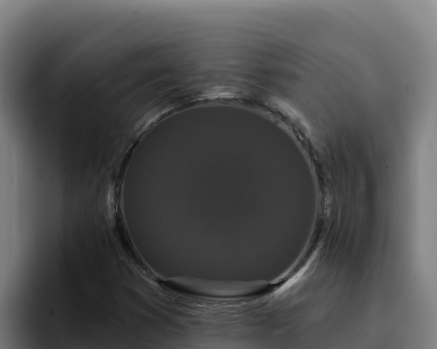 X0000094961353200712061303