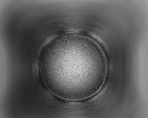 X0000094961354200712061303