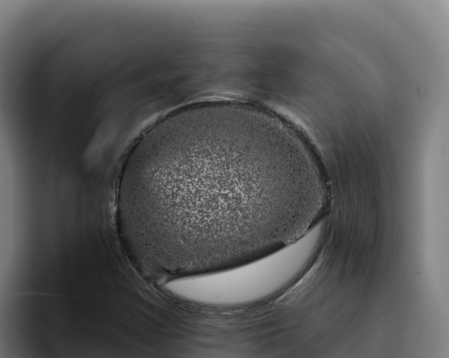 X0000094961355200712061303