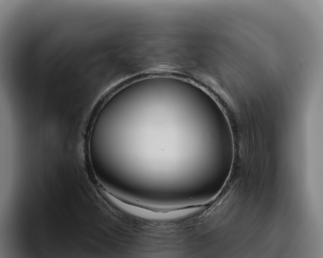 X0000094961356200712061303