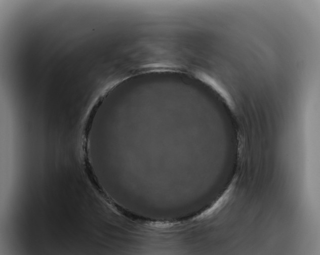 X0000094961357200712061303