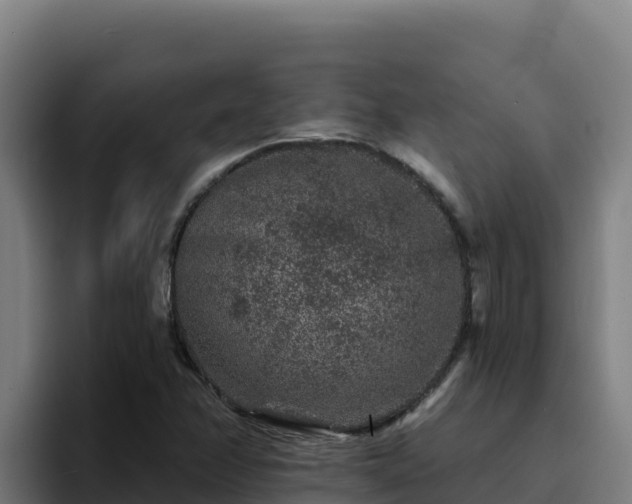 X0000094961358200712061303