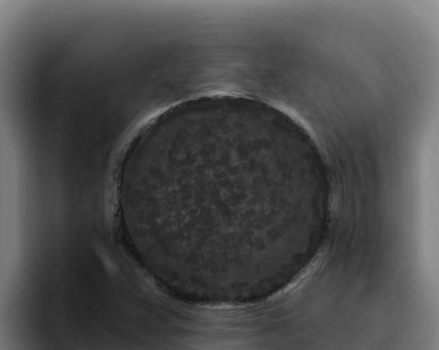 X0000094961359200712061303