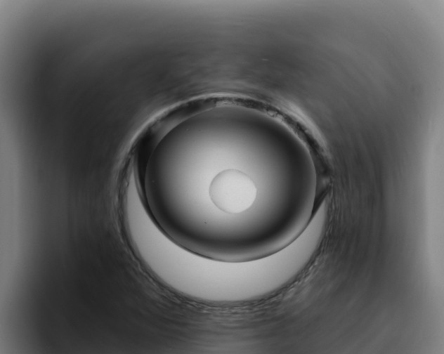 X0000094961360200712061303