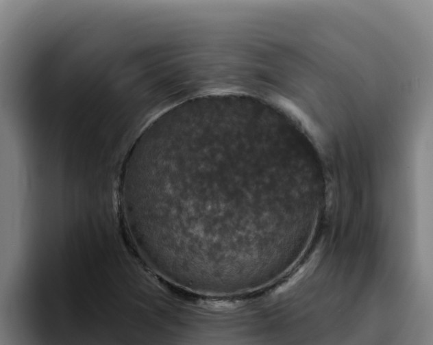 X0000094961361200712061303