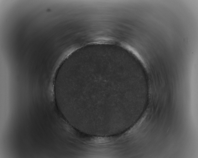 X0000094961362200712061303