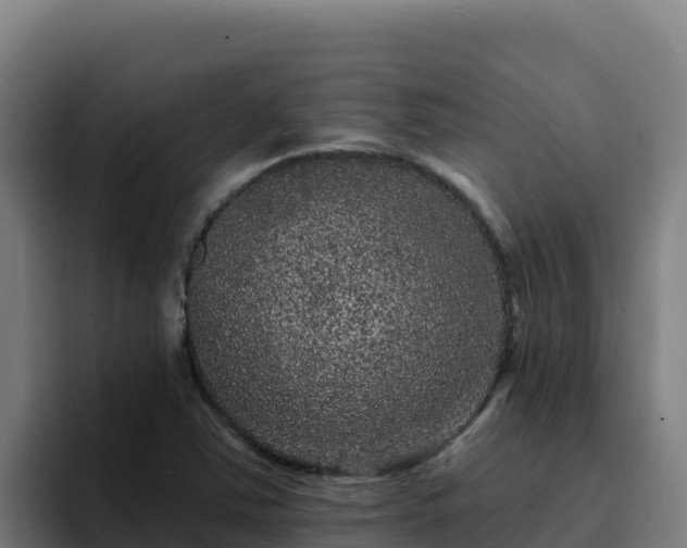 X0000094961363200712061303