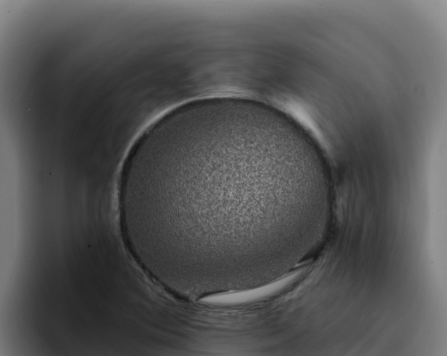 X0000094961364200712061303