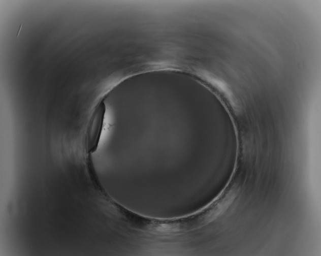 X0000094961365200712061303