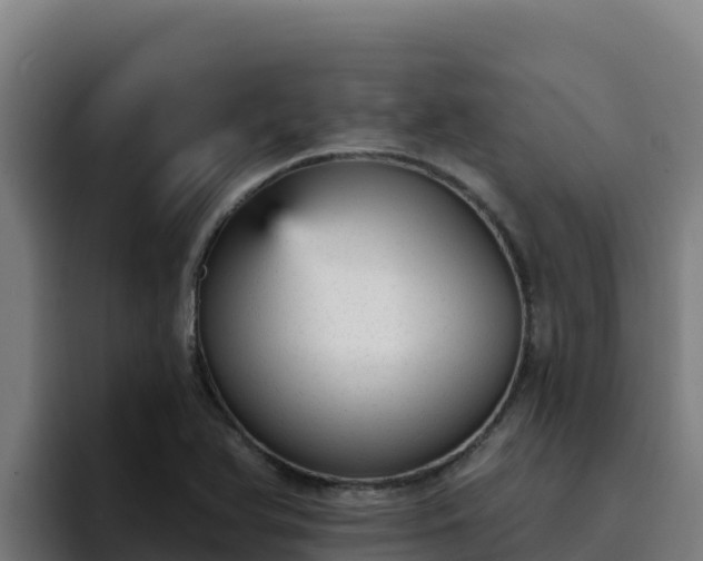 X0000094961366200712061303