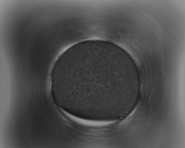 X0000094961367200712061303