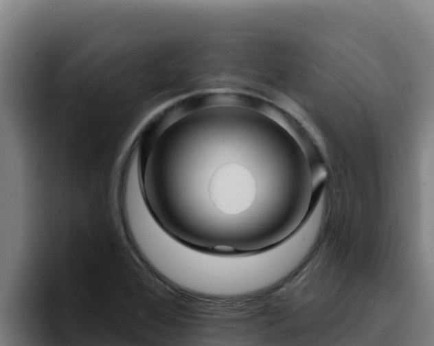 X0000094961368200712061303