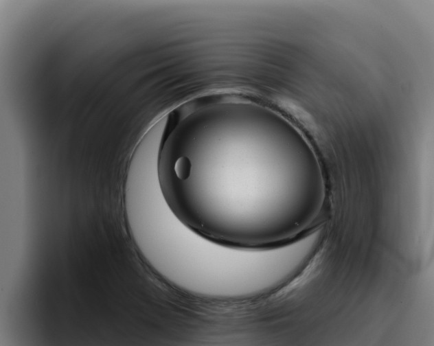 X0000094961369200712061303