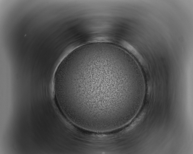 X0000094961370200712061303